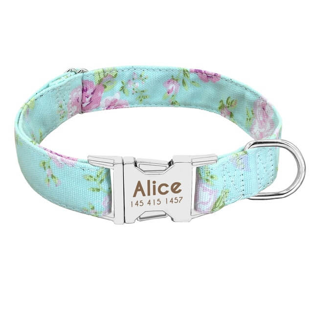 PF Custom Name Plate Pet Collars