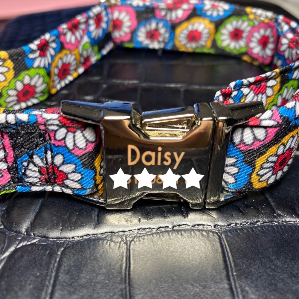 PF Custom Name Plate Pet Collars