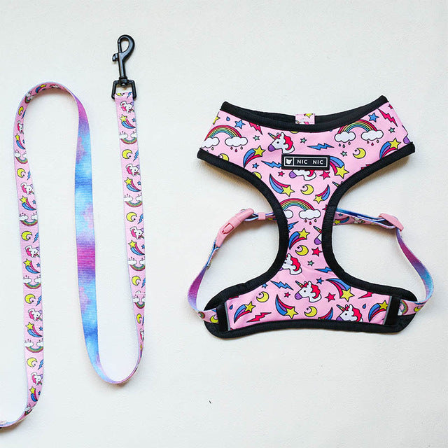 Harness & Leash Set