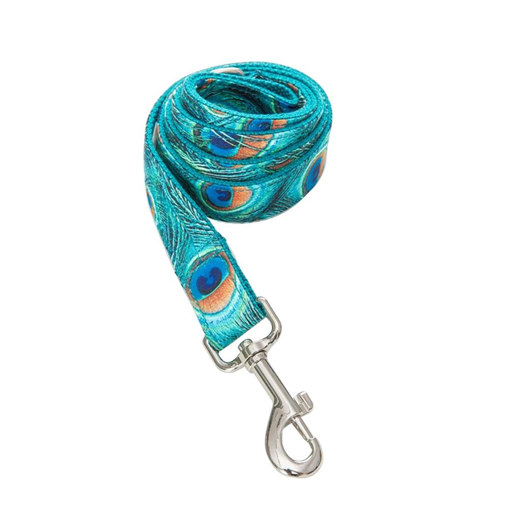 PF Graphic Pet Collars and Leashes