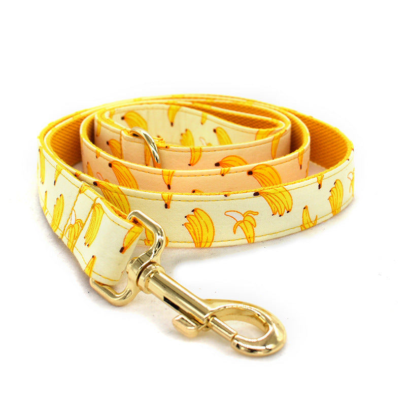 PF Graphic Pet Collars and Leashes